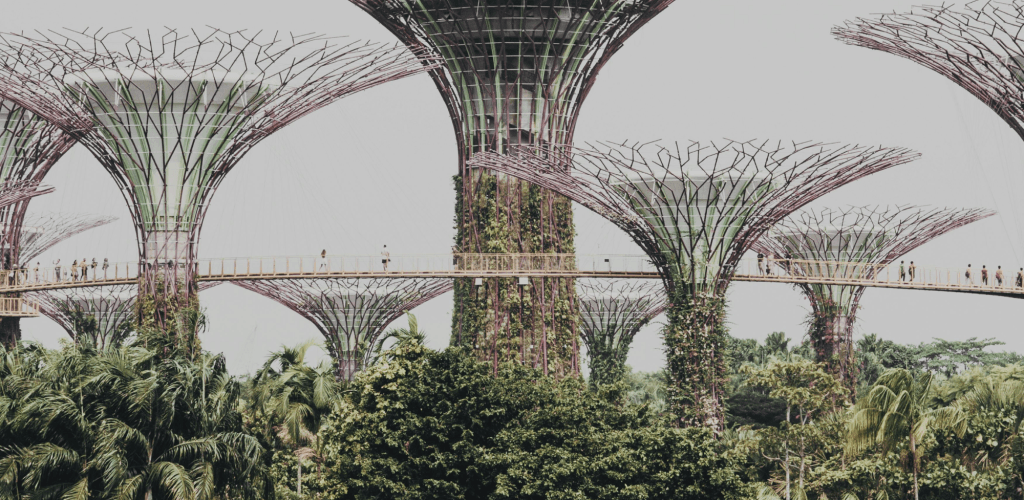 Sustainable Design Will Drive Real Estate in 2025