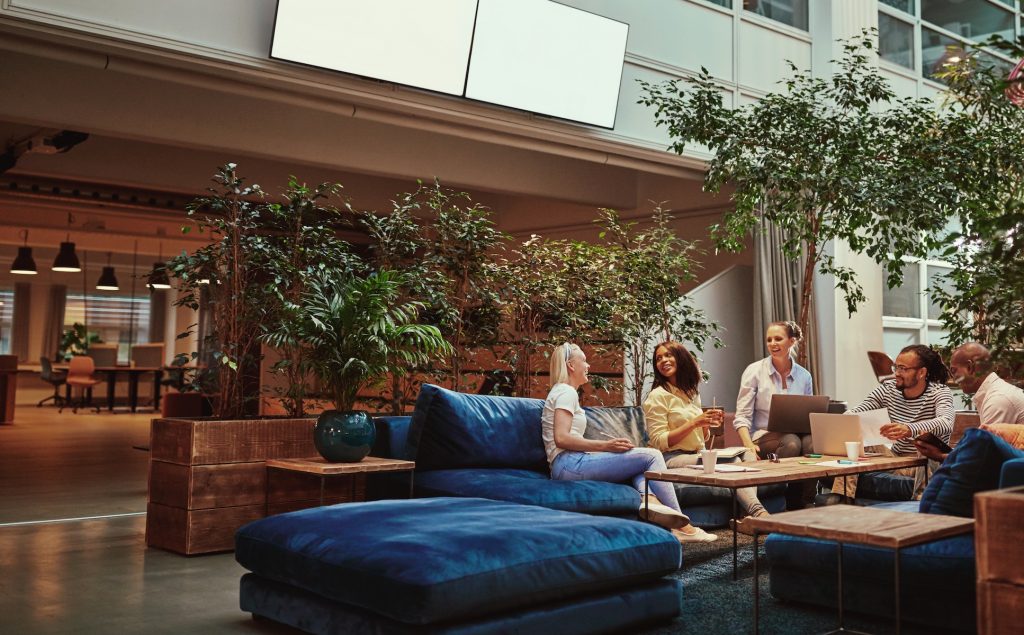 Diverse group of smiling young businesspeople sitting on sofas during a casual meeting together in the lounge area of a modern office complex